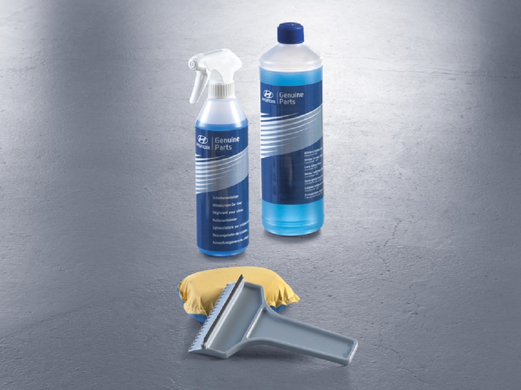 Kit de Cuidado del Automóvil 