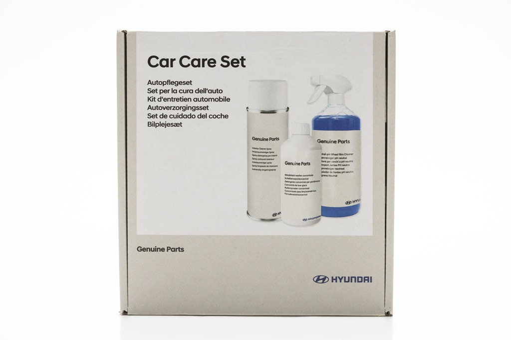 Kit de Cuidado del Automóvil 