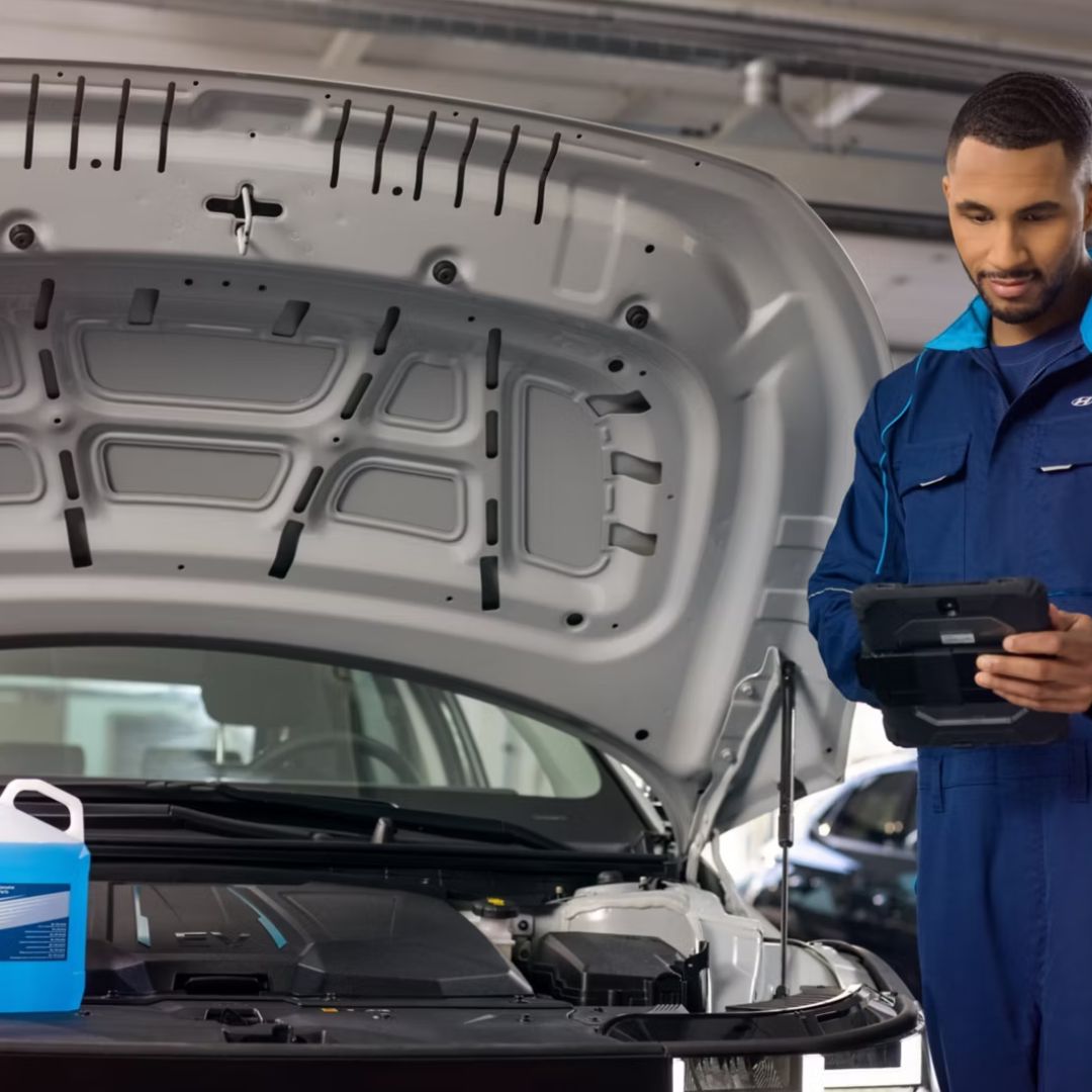 Vehículos revisados por taller oficial