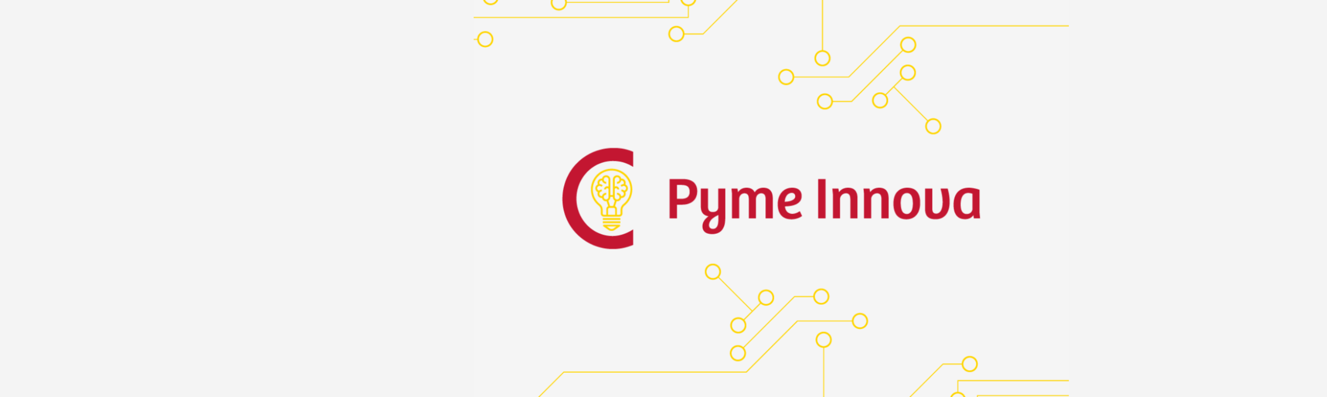 Innovación y Crecimiento con el Programa Pyme Innova